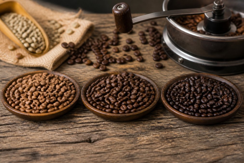 How to Choose the Best Coffee Roast: 2026 Guide