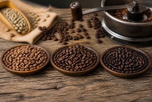 How to Choose the Best Coffee Roast: 2026 Guide
